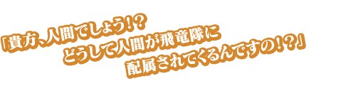 「貴方、人間でしょう！？　どうして人間が飛竜隊に配属されてくるんですの！？」