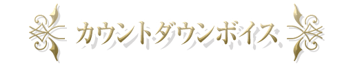 カウントダウンボイス